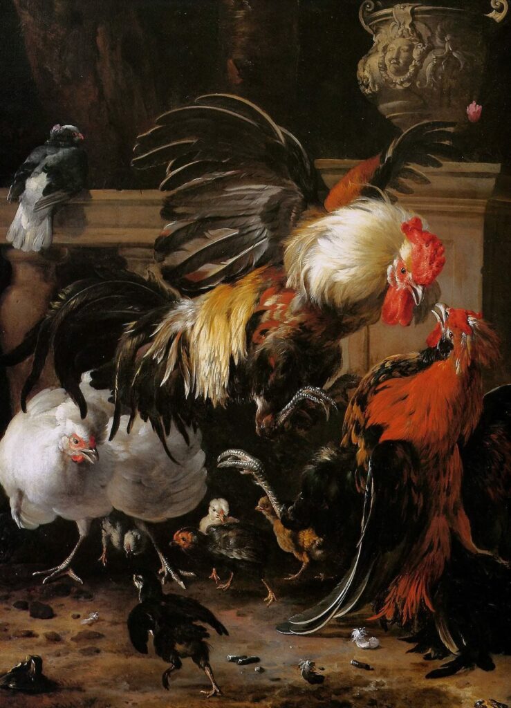 IDAMANTOTO : Login Platform Live Sabung Ayam Online Resmi dan Populer